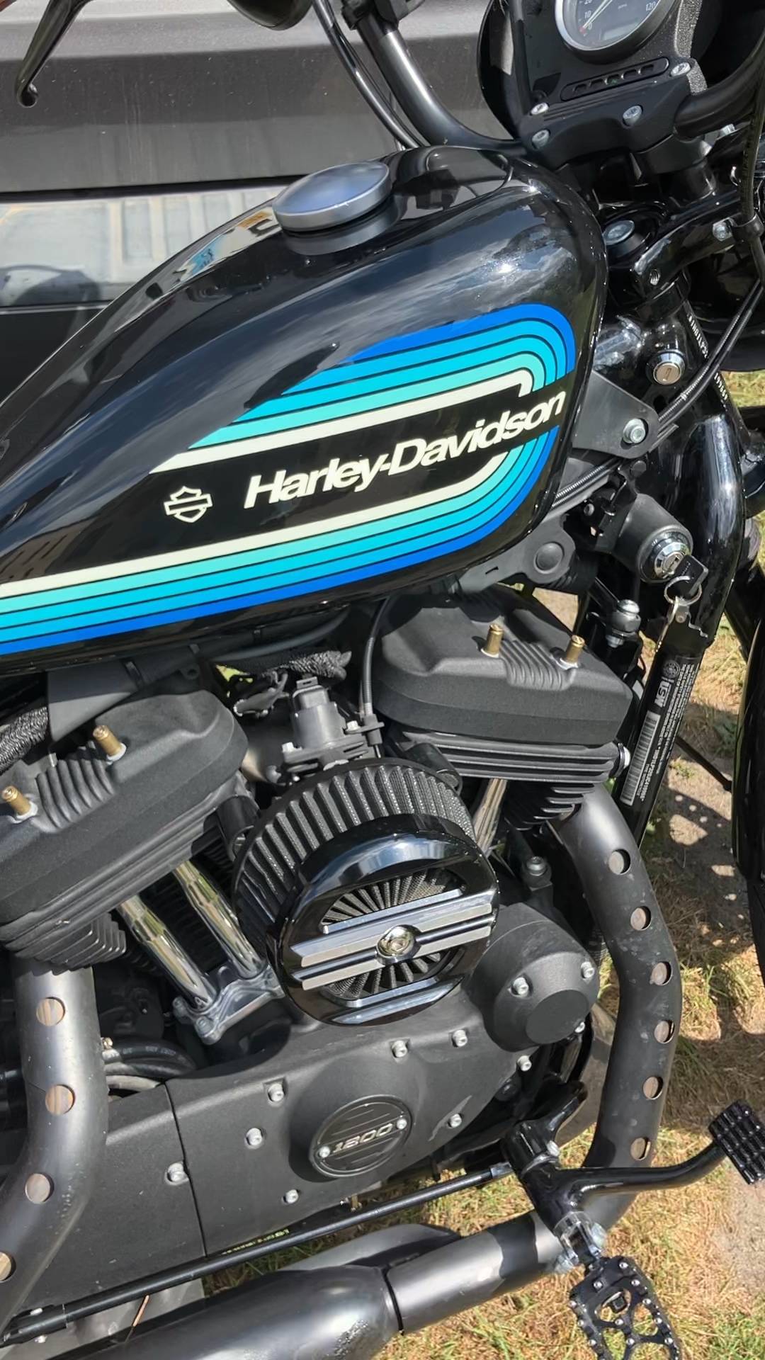 Harley-Davidson Iron 1200 with retro tank striping, photographed in sunlight